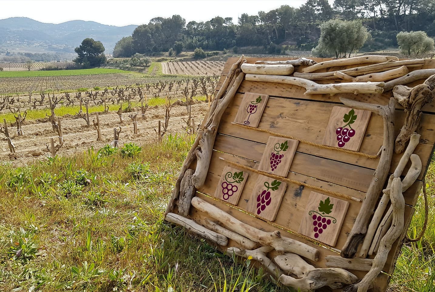 Challenge de mémoire en bois, parcours d'orientation Pleincap au milieu des vignes